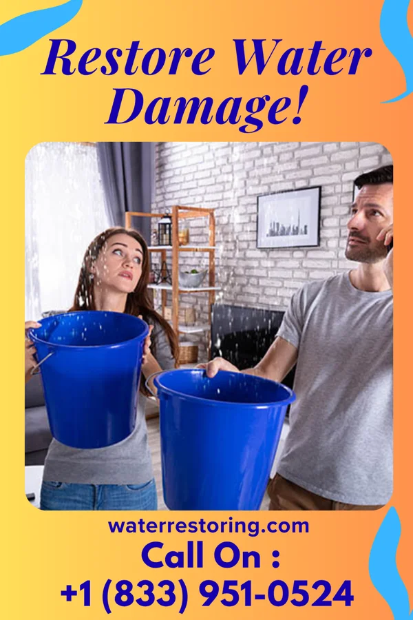 water restoration Ultimate Water Cleanup Team Arbovale